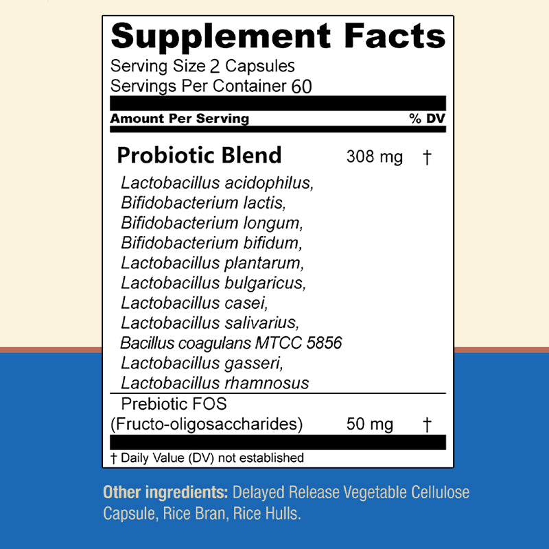Daitea Potent Probiotics 45 Billion CFU with FOS Prebiotics – 120 Delayed-Release Capsules