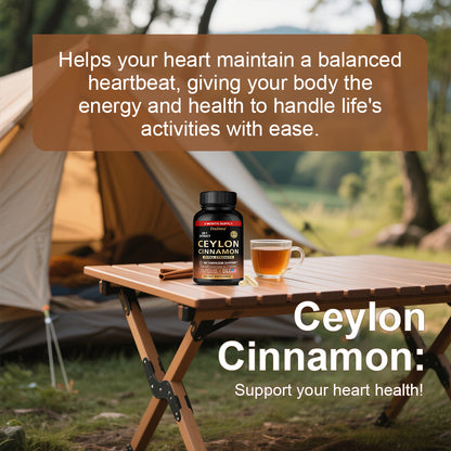 Daitea® Ceylon Cinnamon 20:1 Extract Capsules – Extra Strength Metabolism & Blood Sugar Support Supplement (120 Capsules)