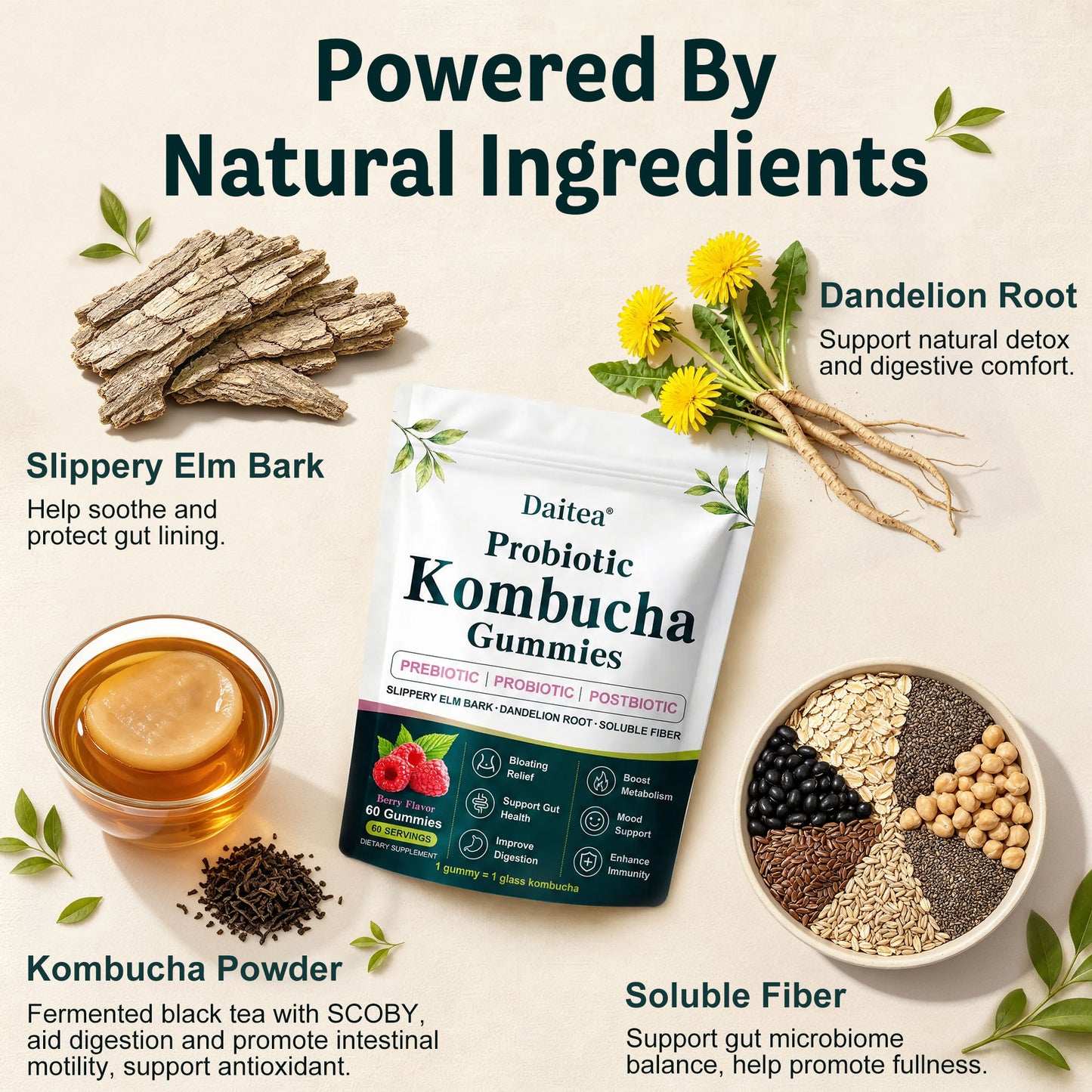 Probiotic Kombucha Gummies – Daily Gut Health Support