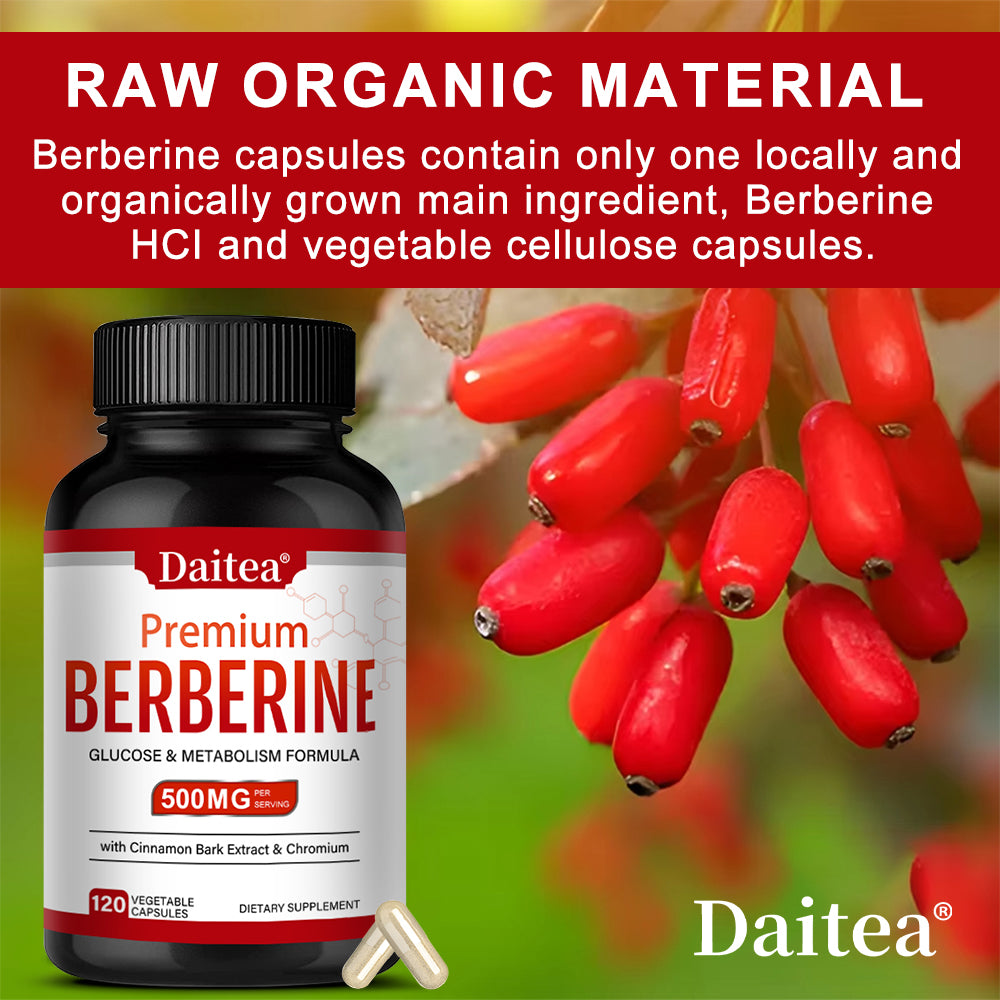 Daitea® Premium Berberine 500mg | Glucose & Metabolism Formula with Cinnamon Bark Extract & Chromium